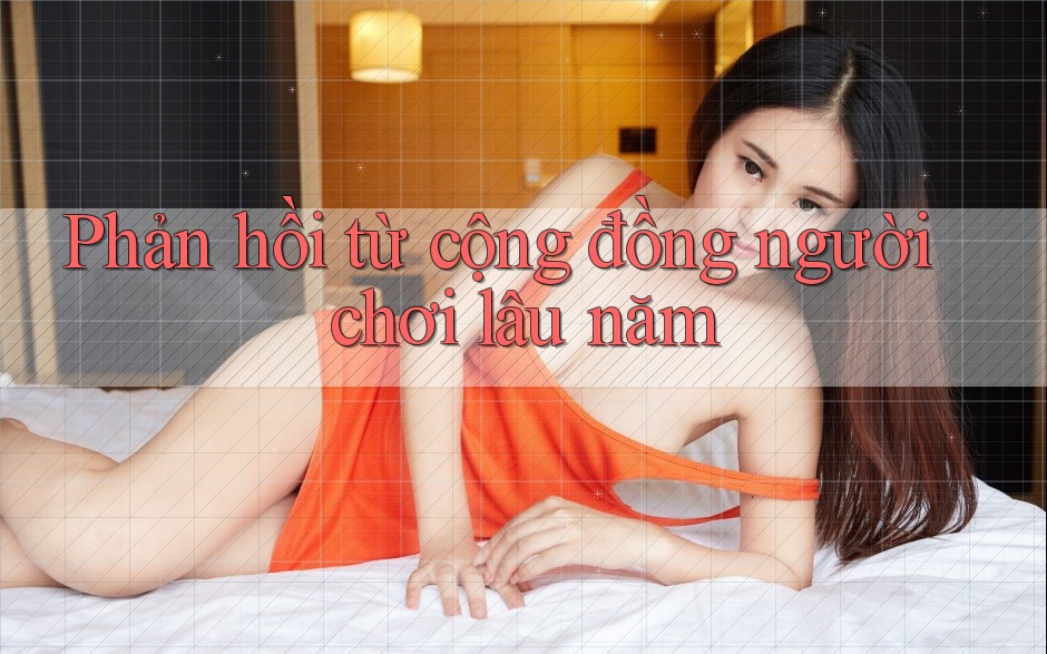 Phản hồi từ cộng đồng người chơi lâu năm