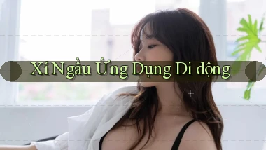 Xí ngầu Ứng dụng di động